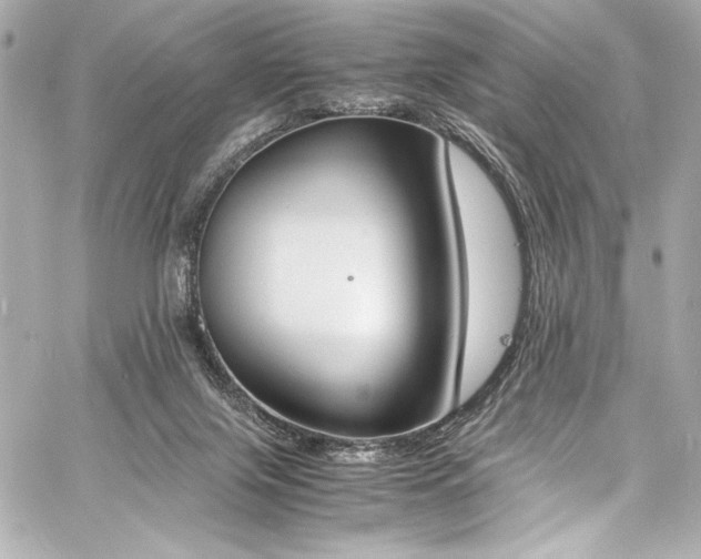 X0000060800071200511101430