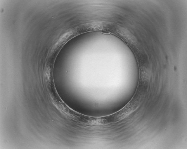 X0000060800072200511101430