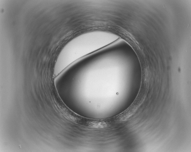 X0000060800073200511101430