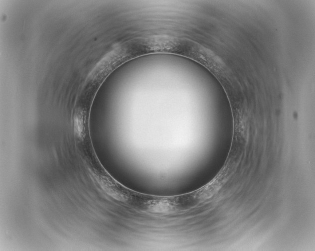 X0000060800074200511101430