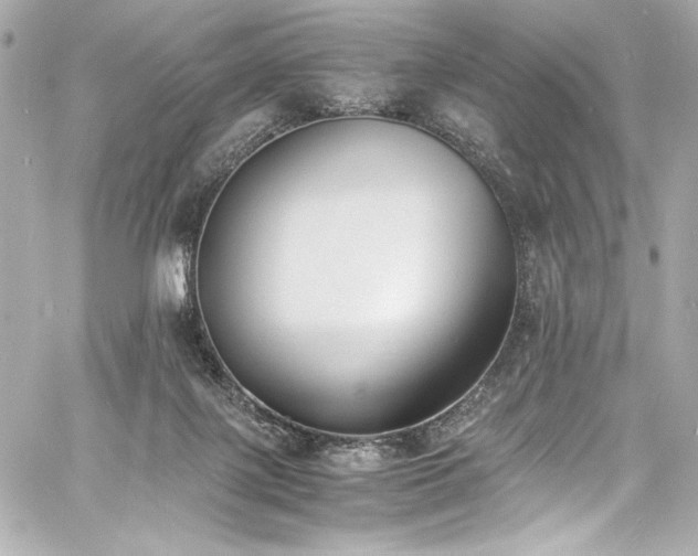 X0000060800075200511101430