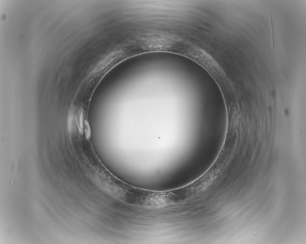 X0000060800076200511101430