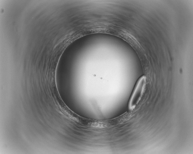 X0000060800077200511101430