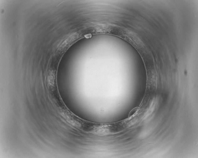 X0000060800078200511101430