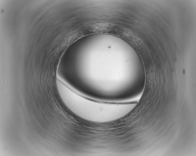 X0000060800079200511101430