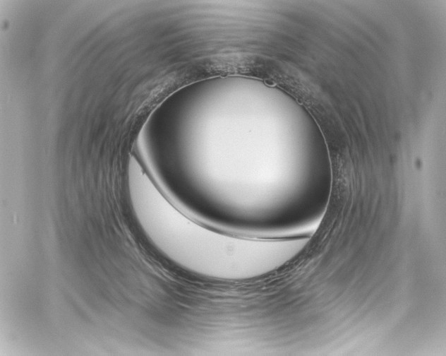 X0000060800080200511101430