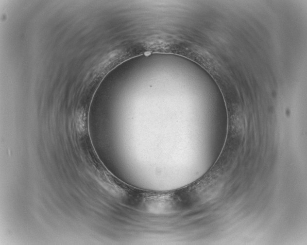 X0000060800081200511101430