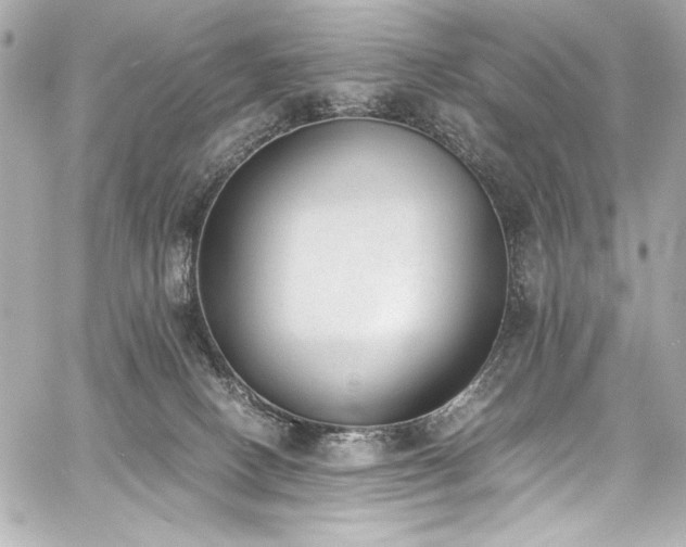 X0000060800082200511101430