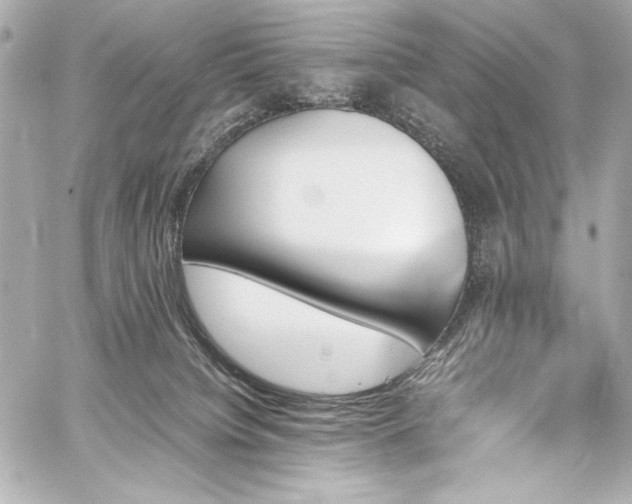 X0000060800084200511101430