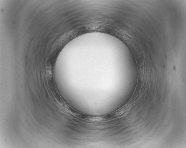 X0000060800085200511101430