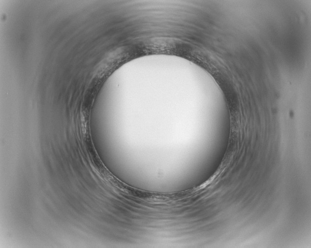 X0000060800086200511101430