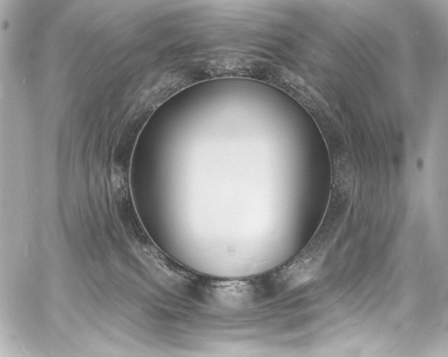 X0000060800087200511101430