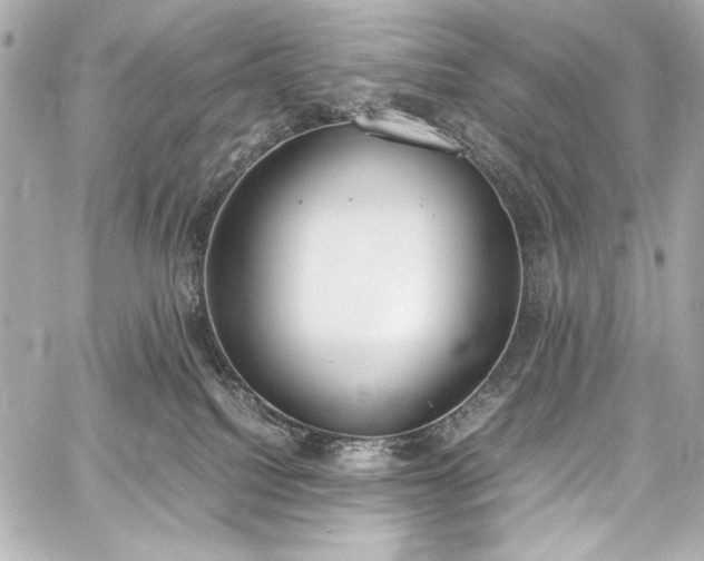 X0000060800088200511101430