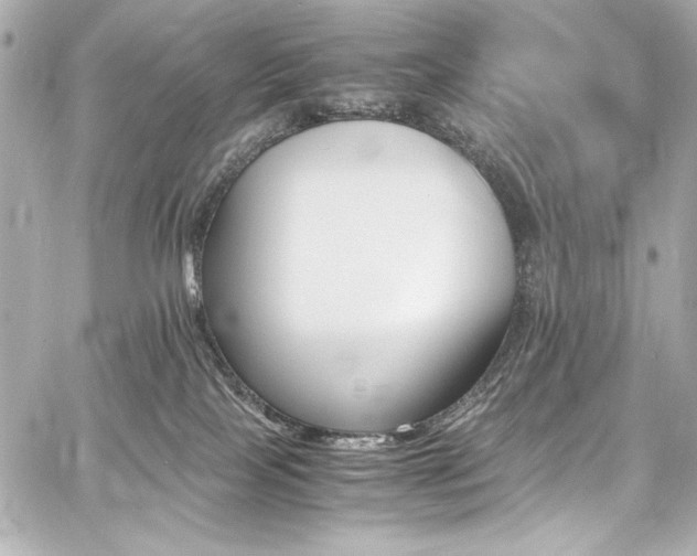 X0000060800089200511101430