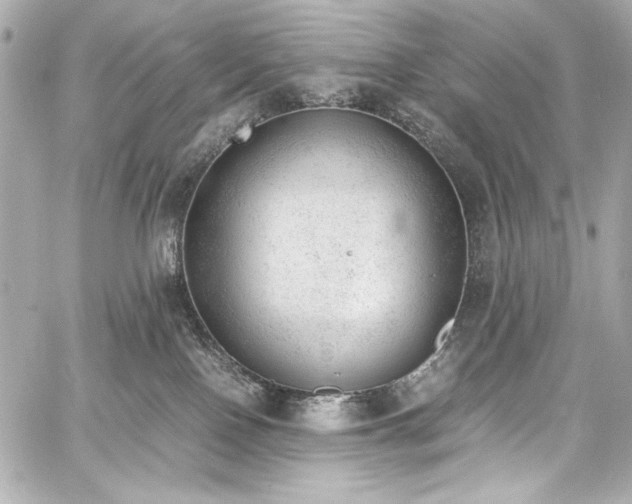 X0000060800090200511101430