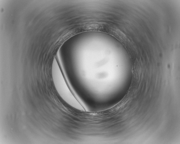 X0000060800091200511101430