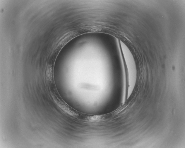 X0000060800092200511101430