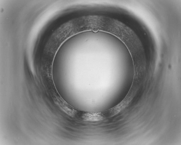 X0000060800093200511101430