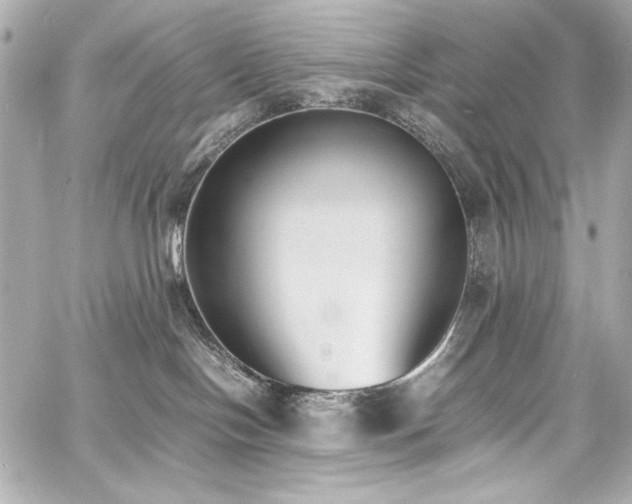 X0000060800094200511101430