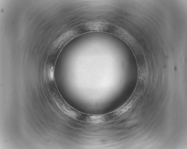 X0000060800095200511101430