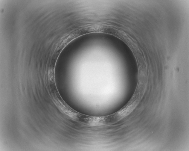 X0000060800096200511101430