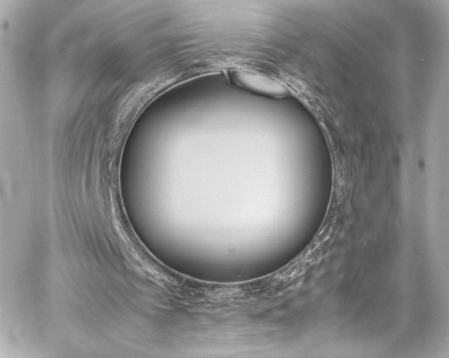 X0000060800097200511101429