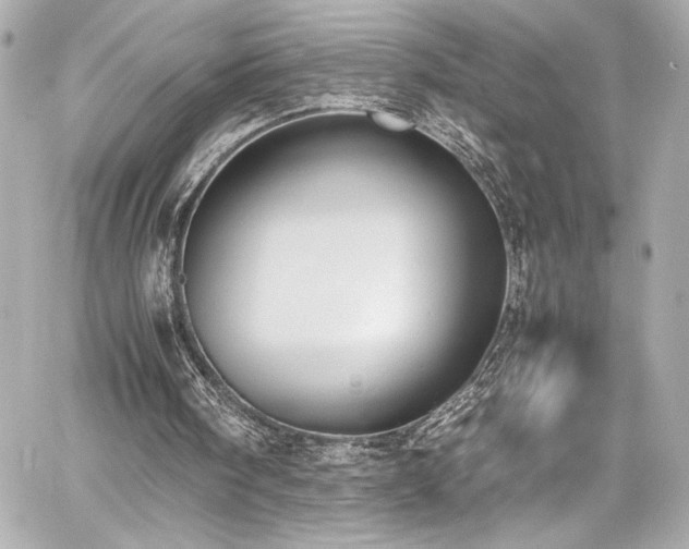 X0000060800098200511101429