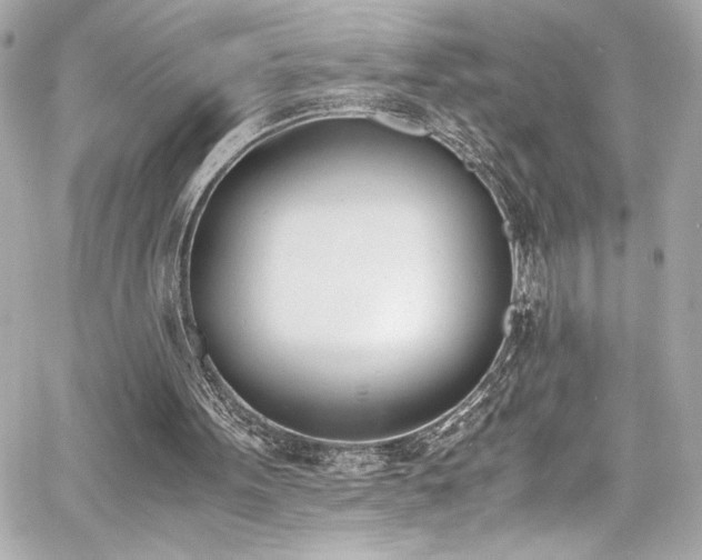 X0000060800099200511101429