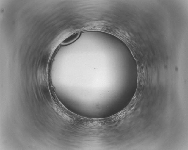 X0000060800100200511101429