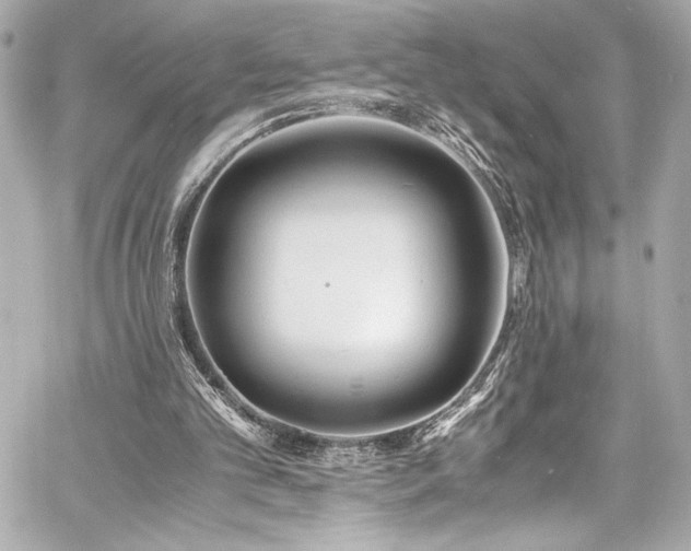 X0000060800101200511101429