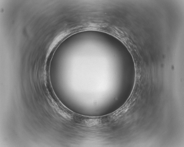 X0000060800102200511101429