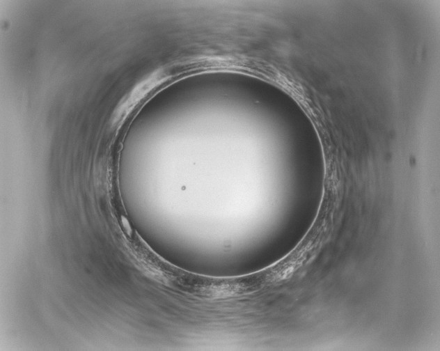 X0000060800103200511101429