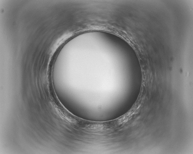 X0000060800104200511101429