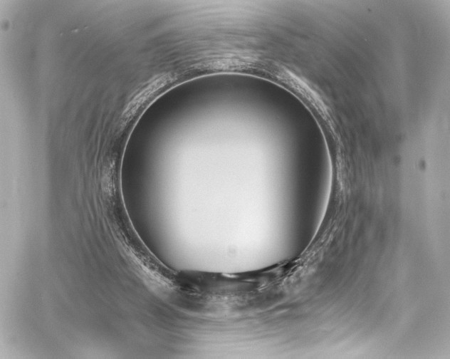 X0000060800105200511101429