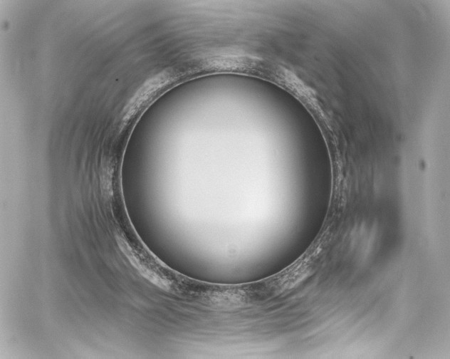 X0000060800106200511101429