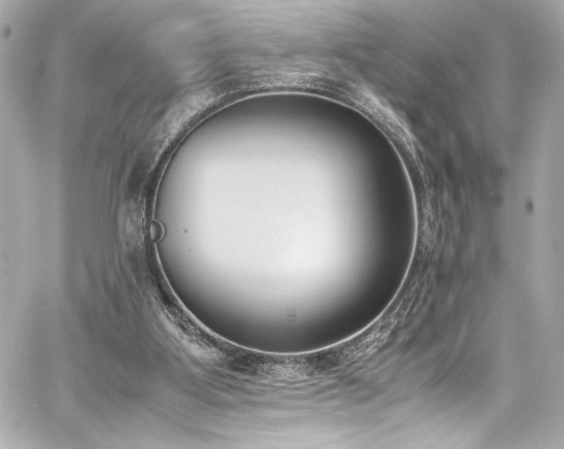 X0000060800107200511101429