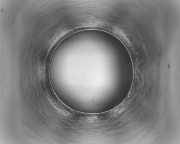 X0000060800108200511101429