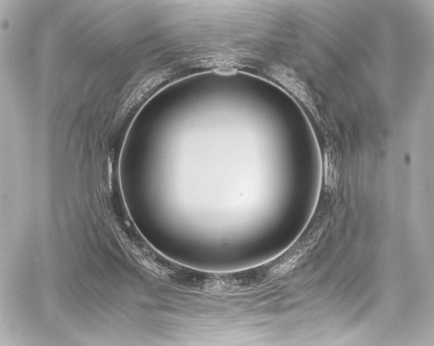 X0000060800109200511101429