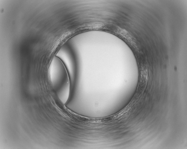 X0000060800110200511101429