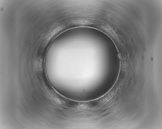 X0000060800111200511101429