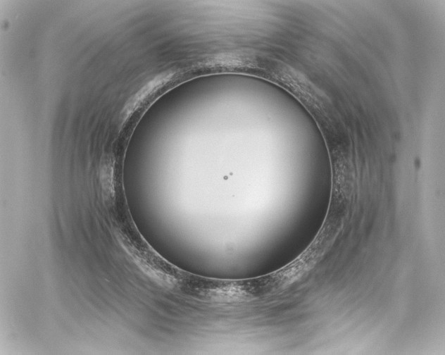 X0000060800112200511101429