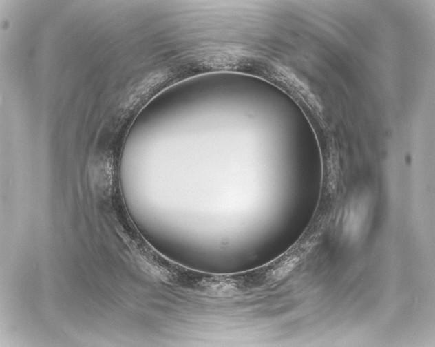 X0000060800113200511101429