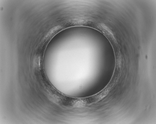 X0000060800115200511101429