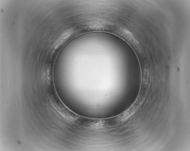 X0000060800116200511101429