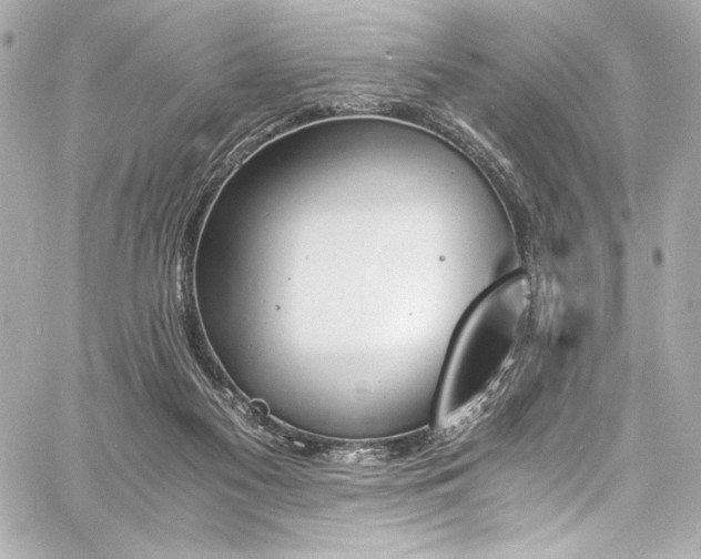 X0000060800117200511101429