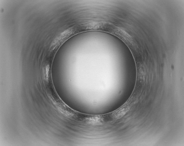 X0000060800118200511101429