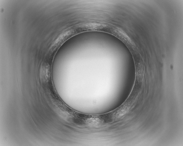 X0000060800119200511101429