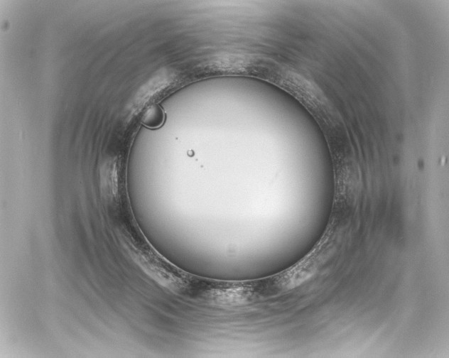 X0000060800120200511101429