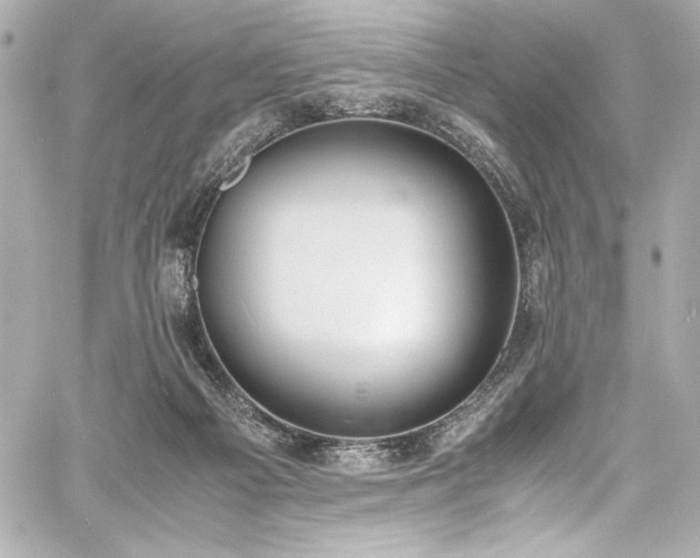 X0000060800121200511101429