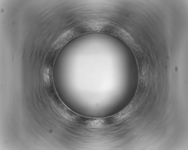 X0000060800122200511101429